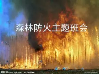 森林防火主题班会