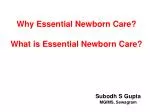 PPT - Essential Newborn Care PowerPoint Presentation, Free Download ...