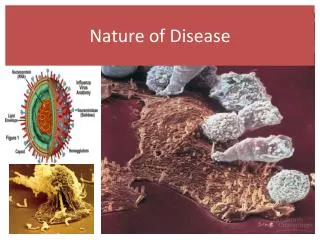 Nature of Disease