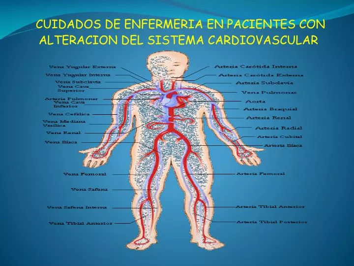 cuidados de enfermeria en pacientes con alteracion del sistema cardiovascular