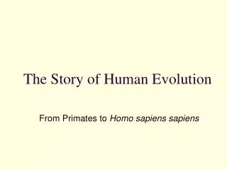 The Story of Human Evolution