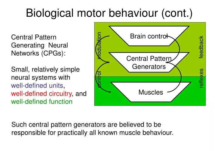 biological motor behaviour cont
