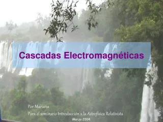 Cascadas Electromagnéticas