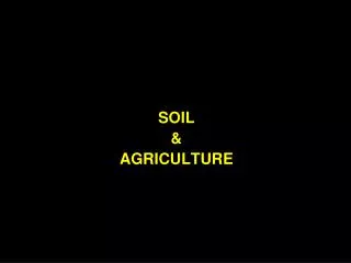 SOIL &amp; AGRICULTURE