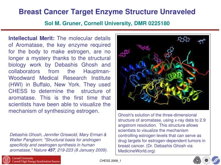 breast cancer target enzyme structure unraveled sol m gruner cornell university dmr 0225180