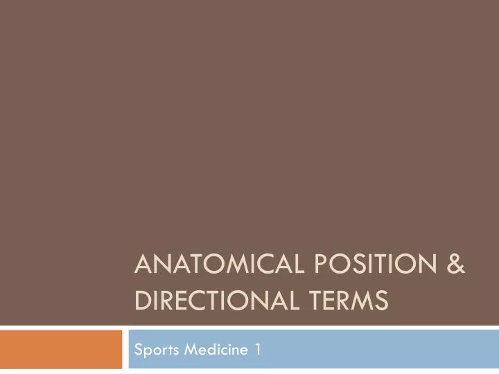 anatomical position directional terms