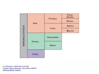 Los Elementos y Moléculas de la Vida Losada, Vargas, Florencio y De la Rosa (1998-9)