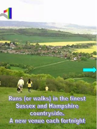 Runs (or walks) in the finest Sussex and Hampshire countryside. A new venue each fortnight