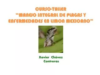 CURSO-TALLER “MANEJO INTEGRAL DE PLAGAS Y ENFERMEDADES EN LIMON MEXICANO”