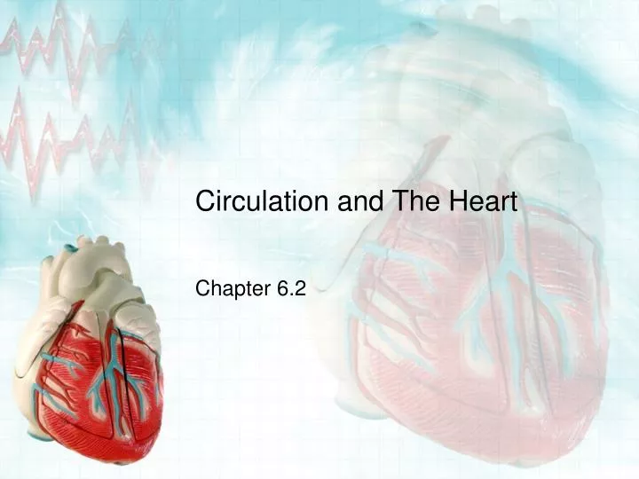 circulation and the heart