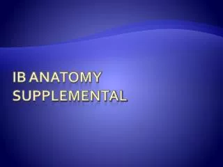 IB Anatomy Supplemental