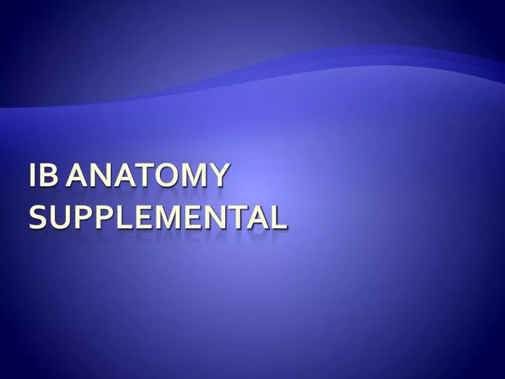 ib anatomy supplemental