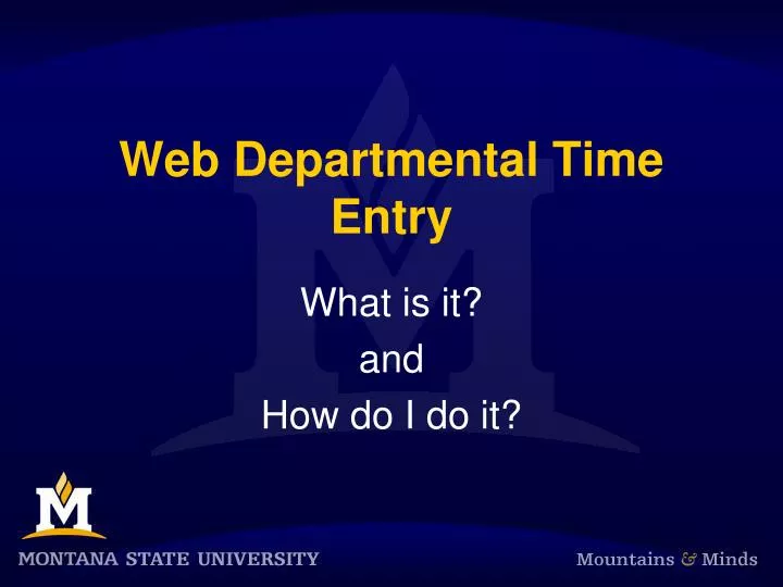 web departmental time entry