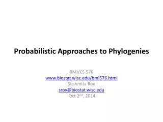 Probabilistic Approaches to Phylogenies