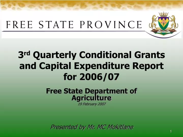 3 rd quarterly conditional grants and capital expenditure report for 2006 07