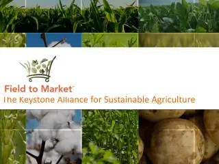 The Keystone Alliance for Sustainable Agriculture