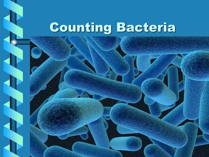 counting bacteria
