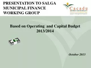 PRESENTATION TO SALGA MUNICIPAL FINANCE WORKING GROUP