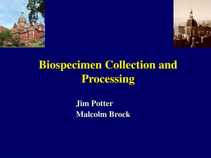 jim potter malcolm brock