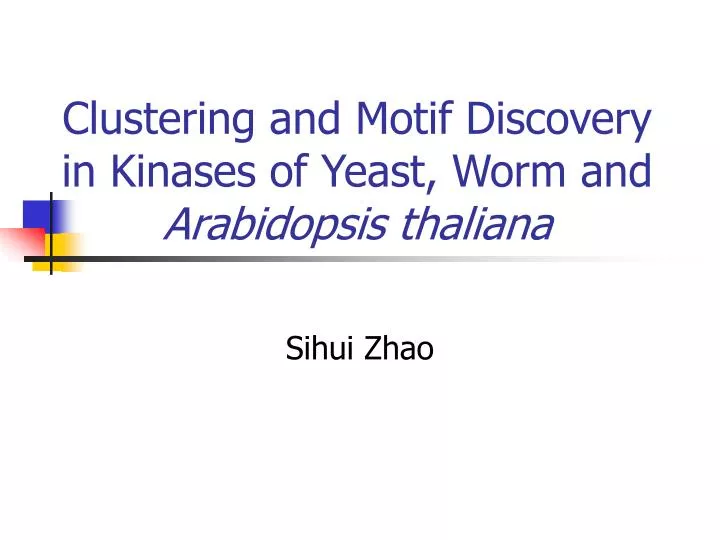 clustering and motif discovery in kinases of yeast worm and arabidopsis thaliana