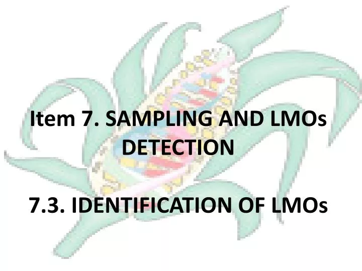 item 7 sampling and lmos detection 7 3 identification of lmos