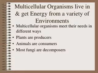 Multicellular Organisms live in &amp; get Energy from a variety of Environments