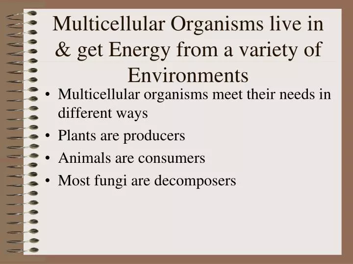 multicellular organisms live in get energy from a variety of environments