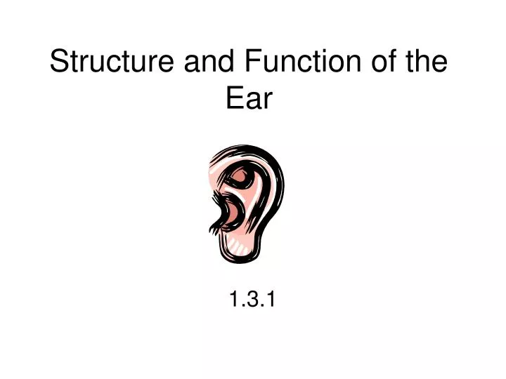 structure and function of the ear