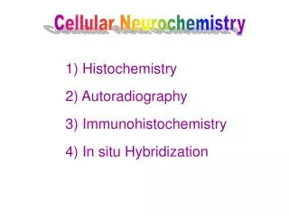 Cellular Neurochemistry