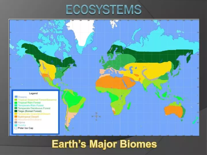 earth s major biomes