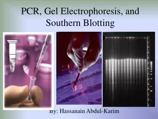 PCR, Gel Electrophoresis, and Southern Blotting