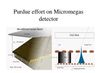 Purdue effort on Micromegas detector