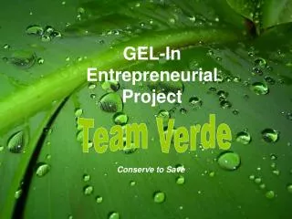 GEL-In Entrepreneurial Project