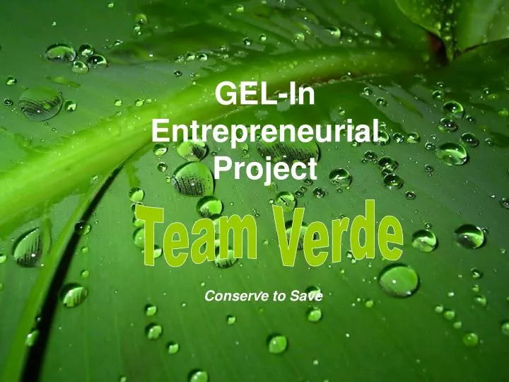 gel in entrepreneurial project