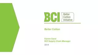 Better Cotton Kerem Saral BCI Supply Chain Manager