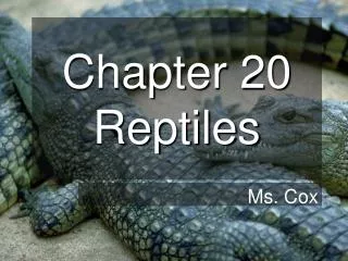 Chapter 20 Reptiles