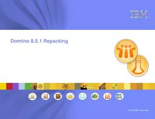 Domino 8.5.1 Repacking