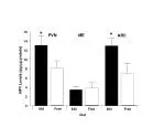 Dietary Protein Levels in 16 Individuals with PVN and ARC Measurements - slide 1