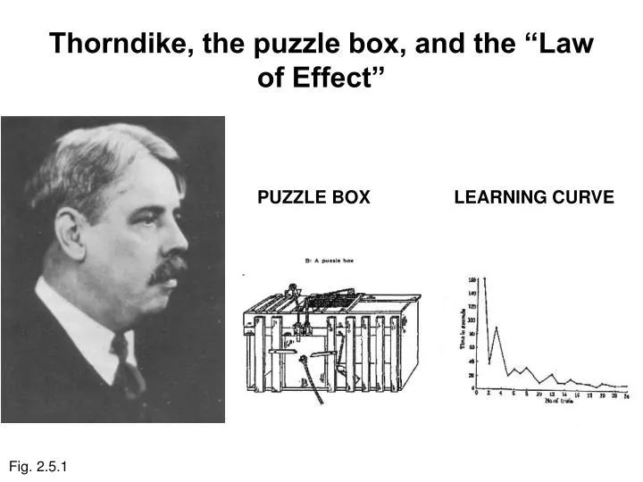 thorndike the puzzle box and the law of effect