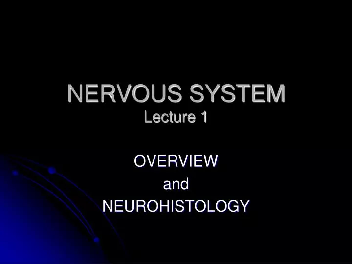 nervous system lecture 1