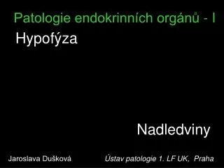 Patologie endokrinních orgánů - I