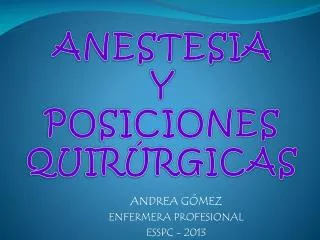 ANDREA GÓMEZ ENFERMERA PROFESIONAL ESSPC - 2013
