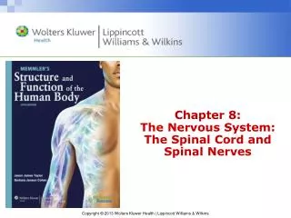 Chapter 8: The Nervous System: The Spinal Cord and Spinal Nerves