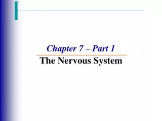 Chapter 7 – Part 1 The Nervous System