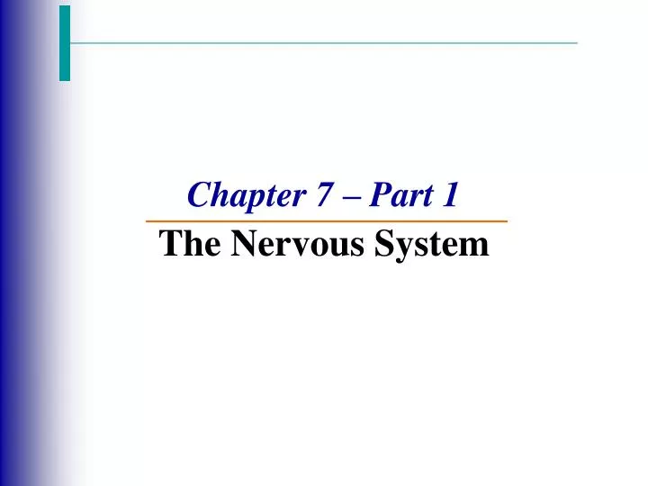 chapter 7 part 1 the nervous system