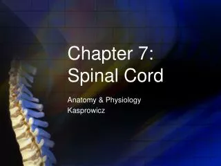 Chapter 7: Spinal Cord