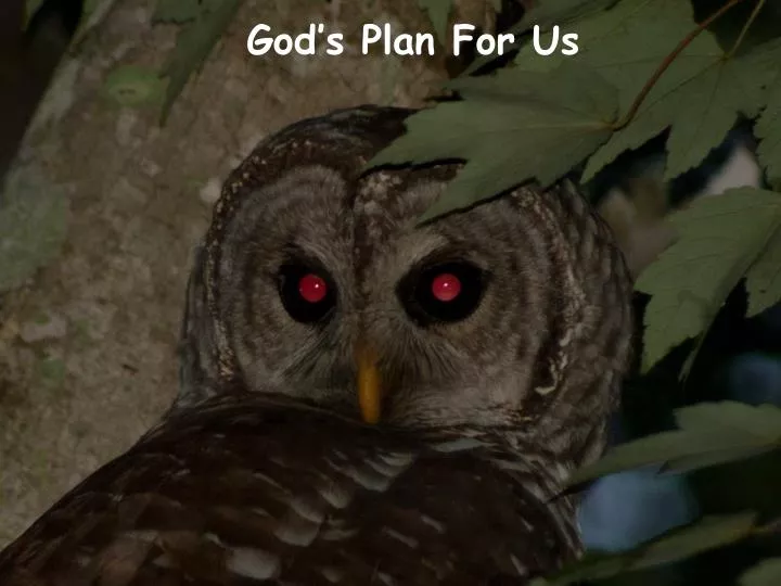 god s plan for us