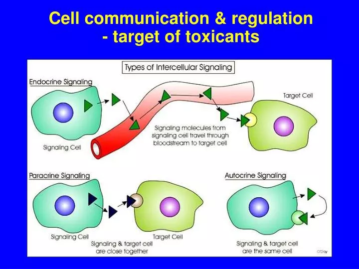 cell communication regulation target of toxicants