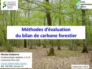 Méthodes d’évaluation du bilan de carbone forestier