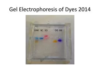 Gel Electrophoresis of Dyes 2014